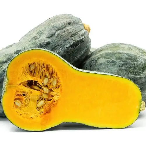 Zapallo loche fresco